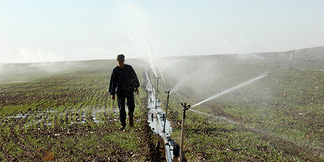 החקלאים לרשות המים: &quot;להעביר מתפקידה את סמנכ&quot;לית הרגולציה תמי שור&quot;