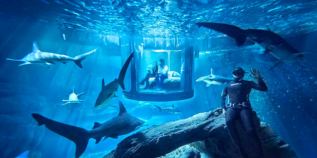 פרס ראשון בתחרות של Airbnb - לישון עם כרישים 