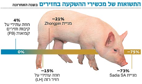 אינפו השקעה בחזירים