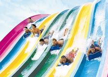 פארק המים Aquatica 