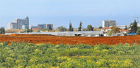 קרקע חקלאית באזור המרכז, צילום: אוראל כהן