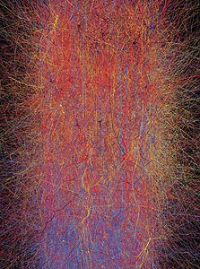 הדמיה של עמודת תאים, צילום: EPFL / Blue Brain Project