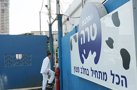מחלבות טרה בתל אביב, צילום: עמית שעל