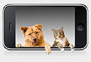 אפליקציות לחיות מחמד, צילום: Shutterstock