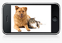 אפליקציות לאוהבי חיות, צילום: Shutterstock