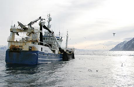 ספינת דיג באיסלנד, צילום: shutterstock