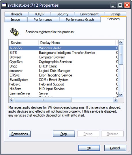 רשימת הרכיבים הפועלית תחת תהליך svchost.exe אחד, בתוכנה Process Explorer רשימת הרכיבים הפועלית תחת תהליך svchost.exe אחד, בתוכנה Process Explorer