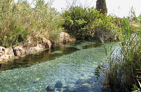 עין חומה עין חומה