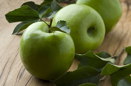 באזור קלבדוס פועלים כיום כ-12 אלף מגדלי תפוחים המגדלים כ-200 זנים