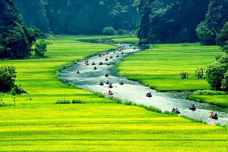 וייטנאם, צילום: שאטרסטוק