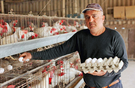 אסף חתן ממושב שתולה מגדל ביצים, צילום: עמית שעל