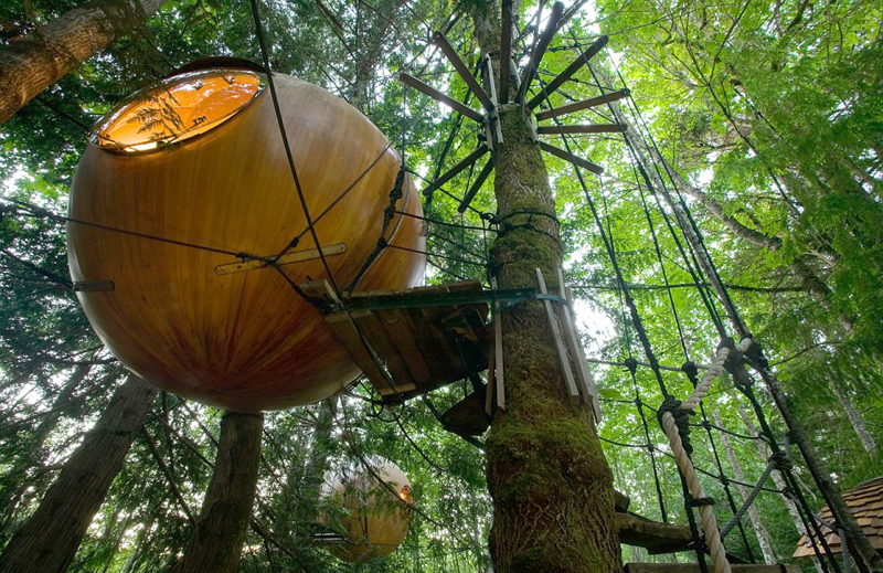 בתי עץ תלויים תחת חופת היער וניתן להגיע אליהם רק באמצעות גשרונים תלויים, צילום: Free Spirit Spheres