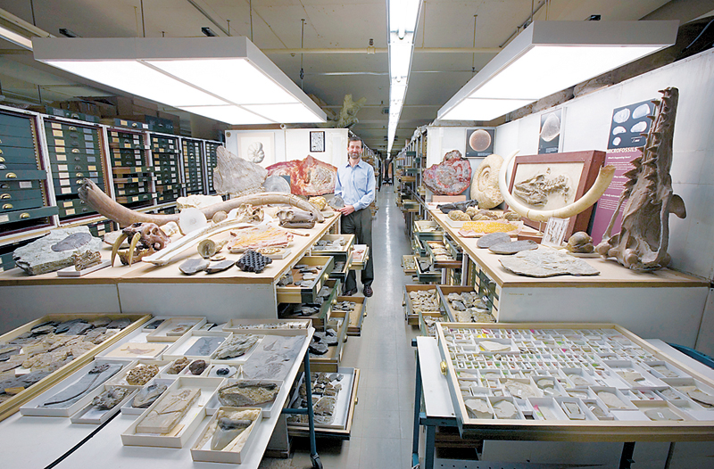 חלק קטן מאוסף המחלקה לחקר מאובנים, צילום: Chip Clark