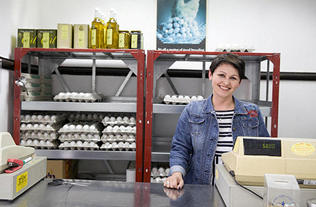 חנות למכירת ביצים במפעל של משפחת גליקסמן , צילום: אוראל כהן