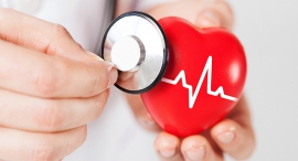 Heart. Shutterstock