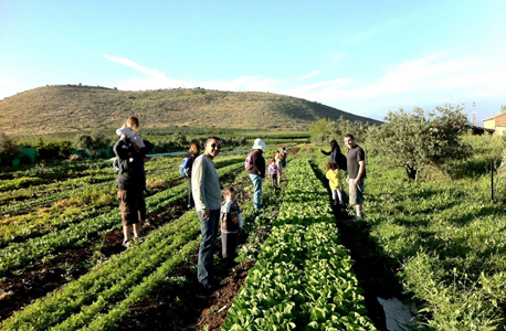 גיא אורגני בשדה אליעזר. פיתוח חקלאות אורגנית משפר את מצבם של העשירונים התחתונים, צילום: באדיבות גיא האורגני