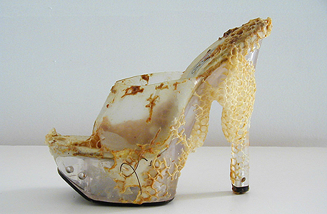 מותק של נעל, צילום: aganethadyck