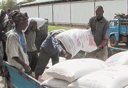 אתיופיה מקבלת שקי מזון מאמריקה