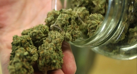 Medical cannabis (illustration). Photo: Getty Images