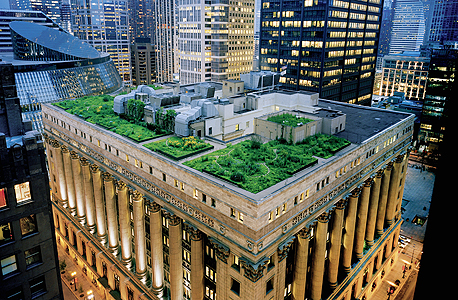 גג ירוק על בניין העירייה בשיקגו. הצמחיה מצמצמת את ההזדקקות לקירור מכני 