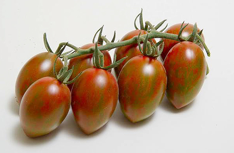 עגבניות שרי. המצאה ישראלית שלא תישאר לבד