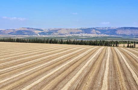 אדמות של קק”ל בעמק יזרעאל, צילום: דוברות עמק יזרעאל