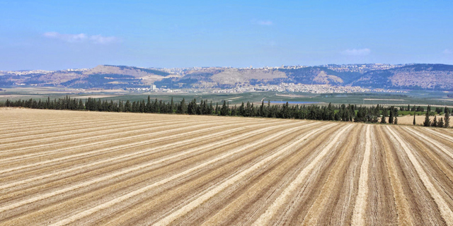 אדמות של קק"ל בעמק יזרעאל. מחזיקה קרקעות באזורי ביקוש, צילום: דוברות עמק יזרעאל
