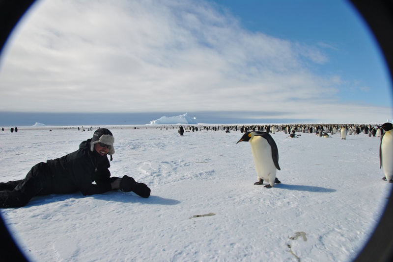 לפי החברה, הפינגווינים לא מפחדים מבני אדם, ויאפשרו לאורחים להתקרב ולהצטלם איתם
