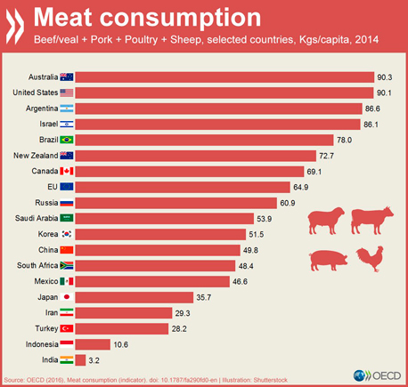 צריכת בשר בקילוגרמים לנפש ב-2014, צילום: OECD