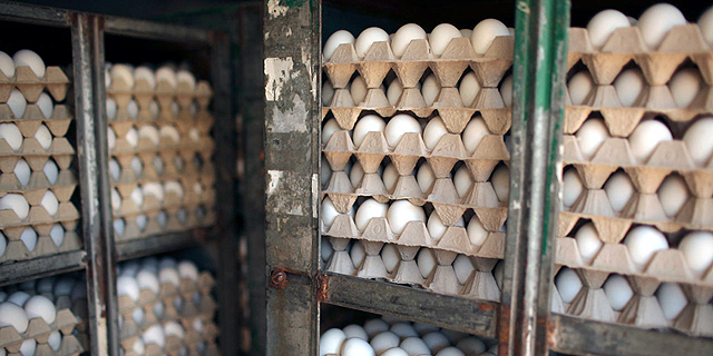 החל מיום שלישי: מחירי הביצים יירדו - אבל רק בכ-10 אגורות למארז