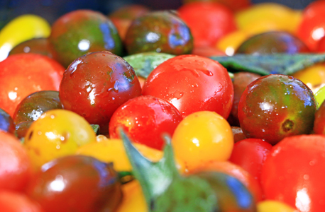 Cherry tomatoes (ilustration). Photo: Danna Kopel