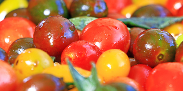 Israeli Company Developed a Blueberry Sized Cherry Tomato