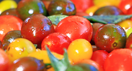 Cherry tomatoes (ilustration). Photo: Danna Kopel