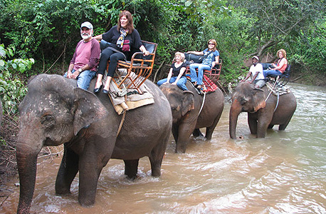 רכיבה על פילים בתאילנד , צילום: fuzzfix