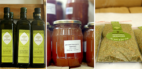 מוצרים סינדיאנת הגליל: שמן זית, דבש ותערובת זעתר, צילום: עמית שעל