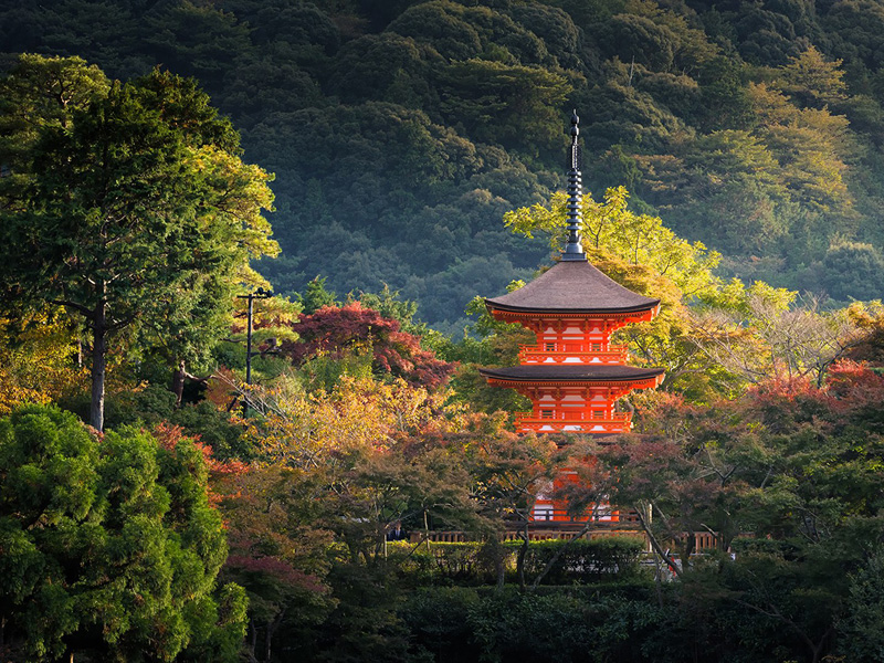 2. קיוטו, יפן: ביקור בקיוטו הוא כמו נסיעה אחורה בזמן. במקום אפשר לבקר במקדשים מהמאה ה-10 ולחלוף על פני גיישות צעירות ברחוב. בעיר יש בסביבות 1,600 מקדשים בודהיסטים וקרוב למאה מסעדות עם כוכבי מישלן