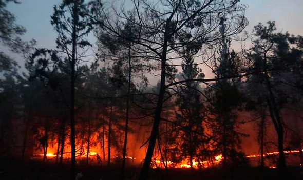 שריפה בלטרון