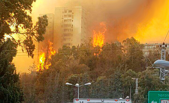 השריפה בחיפה, צילום: סהר פלג