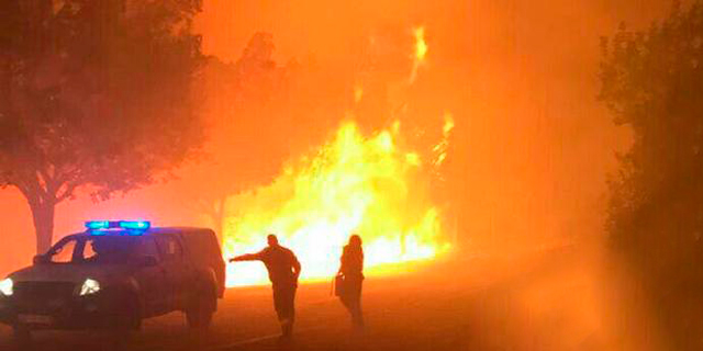 השריפות הסיטו את תשומת הלב הציבורית מהאש הפוליטית