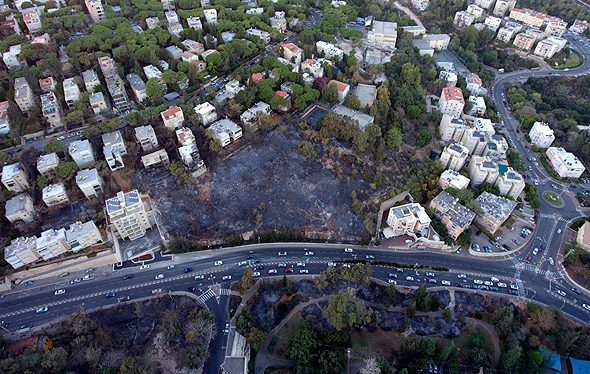 כך נראים השכונות בחיפה אחרי השריפות, צילום: עמי אהרונוביץ