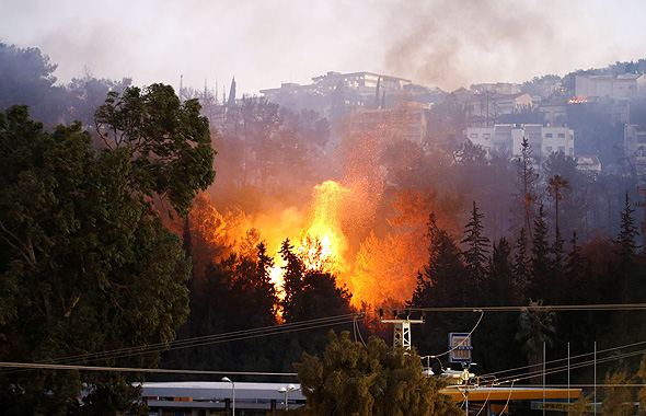 שריפה בחיפה, צילום: איי אף פי
