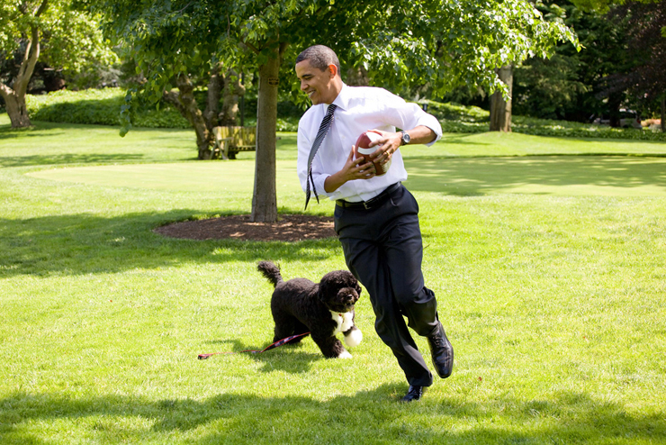  יולי 2010. הנשיא משתעשע עם בו במדשאת הבית הלבן