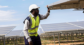 Solar farm (Illustration). Photo: AP