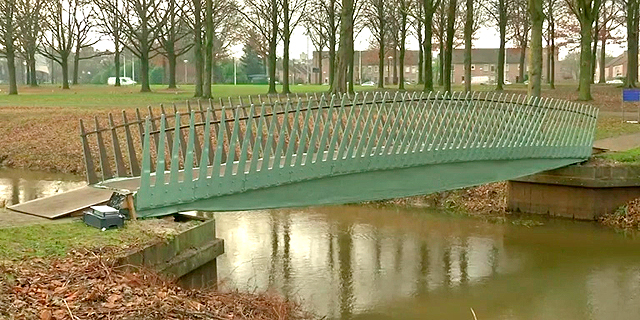 גשר מחומרים ביולוגיים בהולנד, צילום : רויטרס