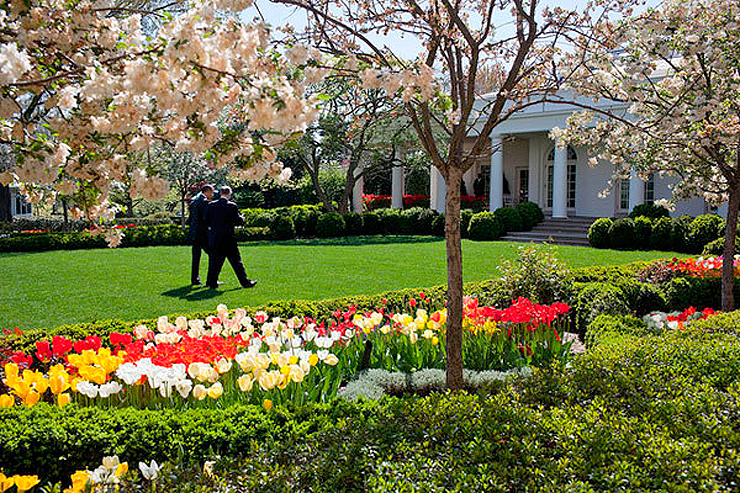 גן הוורדים, צילום: הבית הלבן