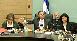 ועדת הכלכלה של הכנסת, צילום: עמית שאבי