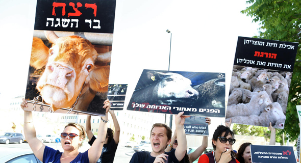 הפגנה נגד יבוא משלוחים חיים של בשר, צילום: עמית שאבי