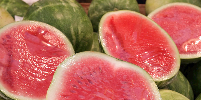 Scientists on a Mission to Save Squashed Israeli Watermelon