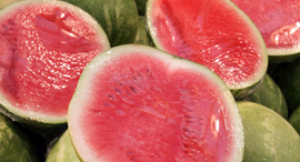 Watermelon. Photo: Amit Shabi