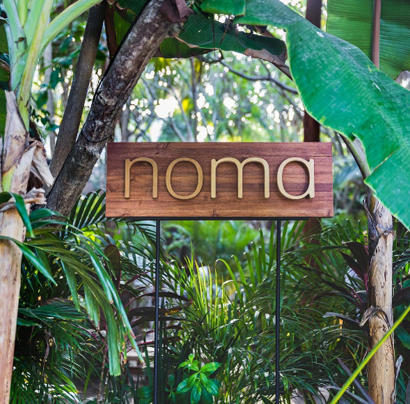 מסעדת נומה בטולום, מקסיקו, צילום: instagram / cityfoodsters